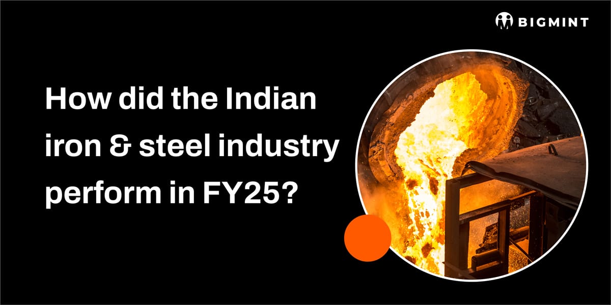 How did India's iron and steel industry perform in FY'25? BigMint analysis