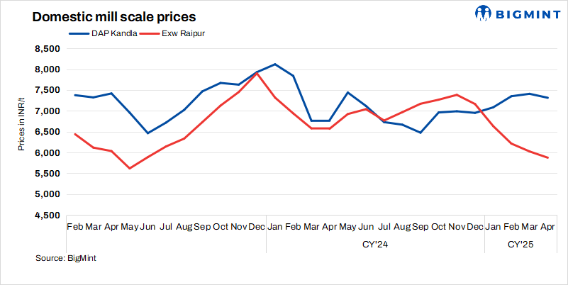 Steel Mint Insights