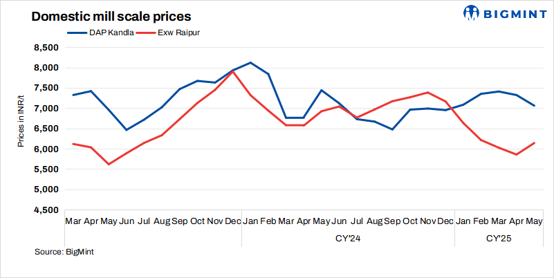 Steel Mint Insights
