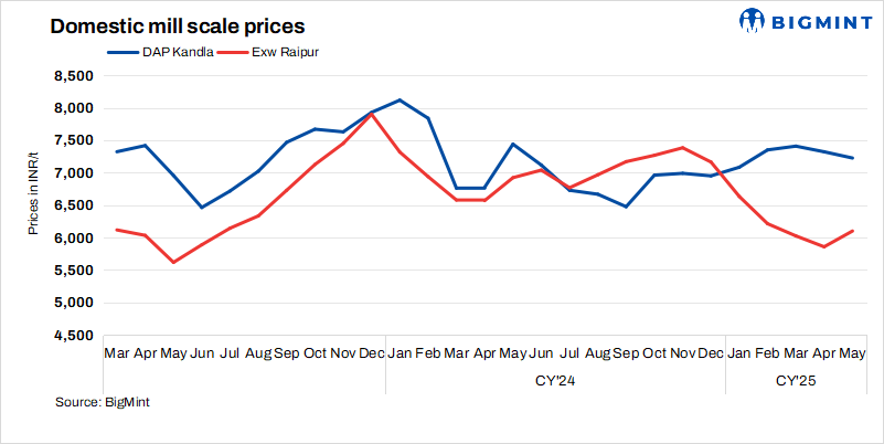 Steel Mint Insights