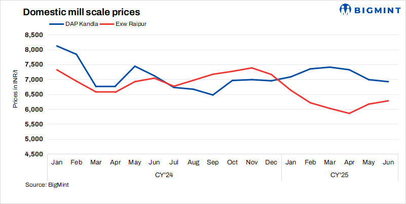 Steel Mint Insights