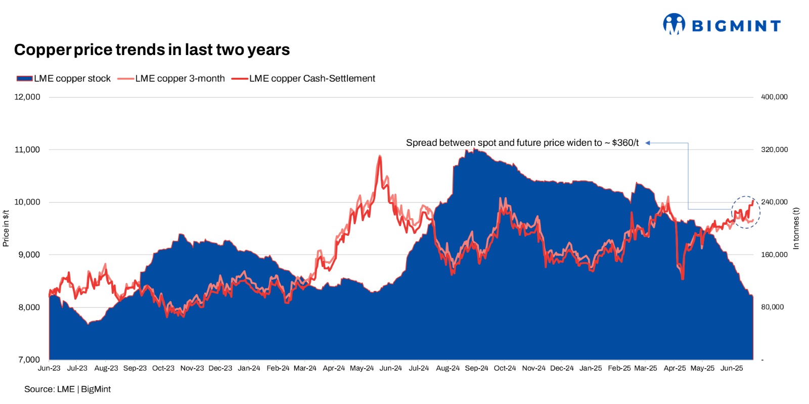Steel Mint Insights