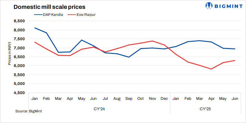 Steel Mint Insights