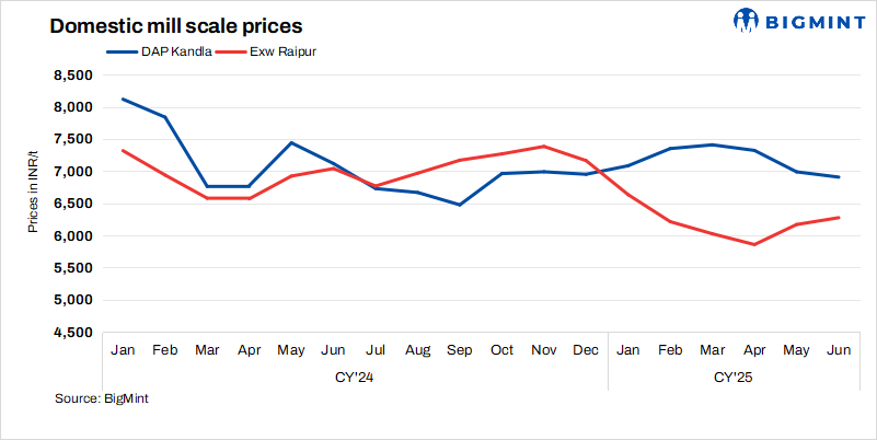 Steel Mint Insights