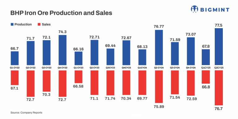 Steel Mint Insights