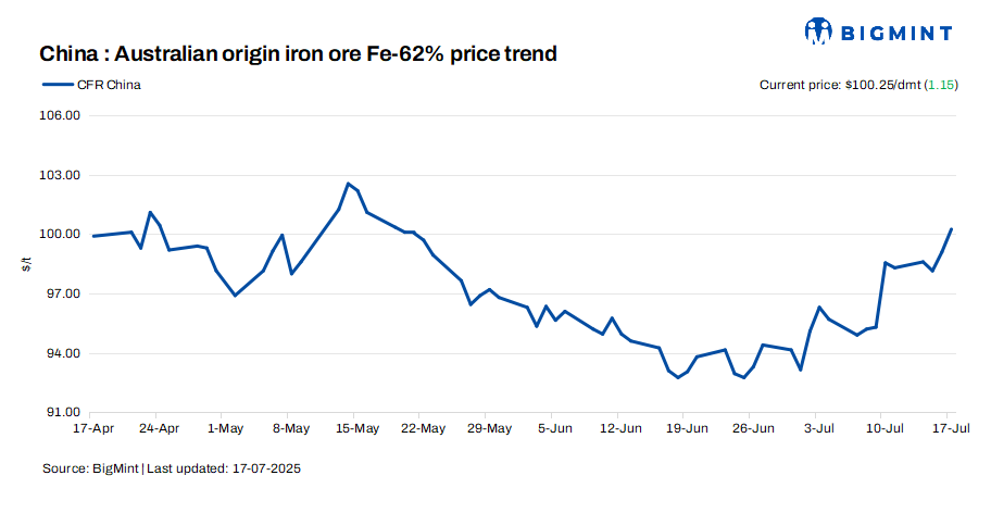 Steel Mint Insights