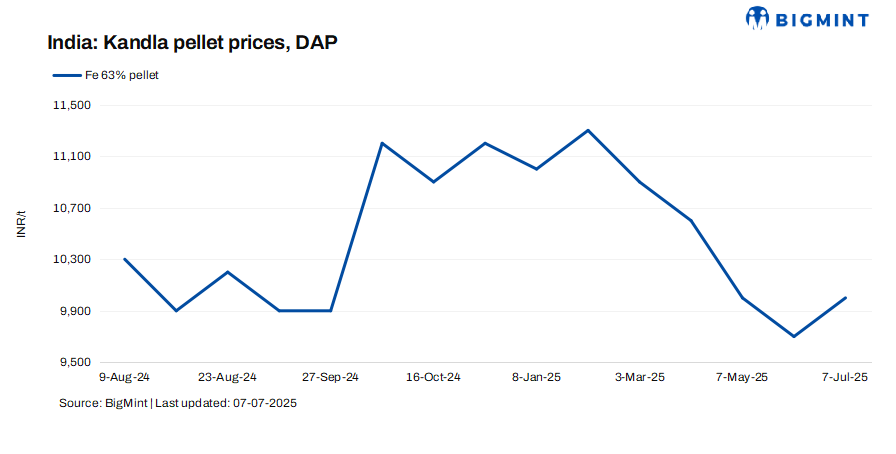 Steel Mint Insights