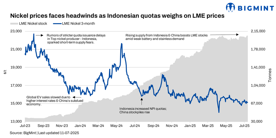 Steel Mint Insights
