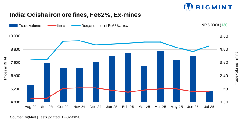 Steel Mint Insights