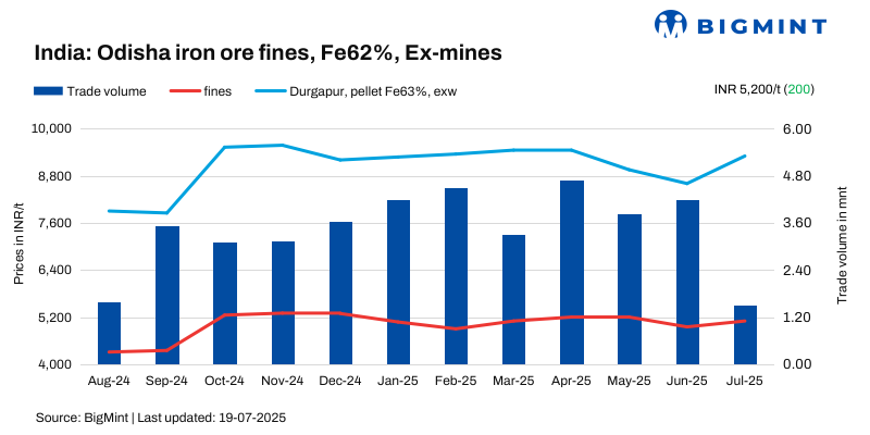 Steel Mint Insights