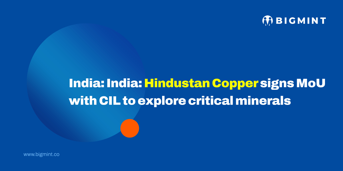 Steel Mint Insights