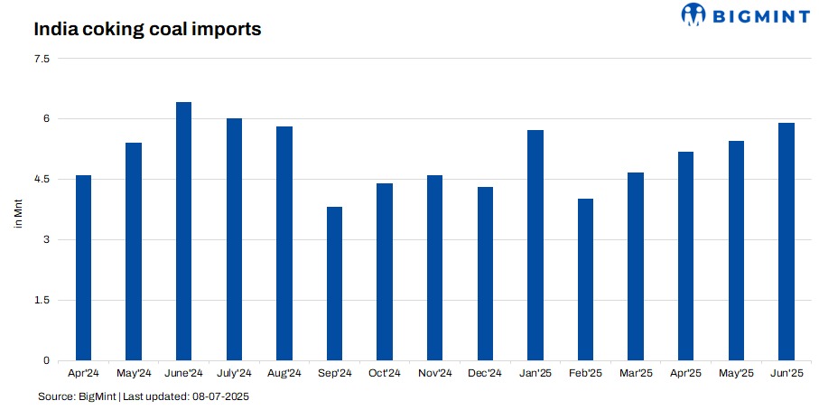 Steel Mint Insights