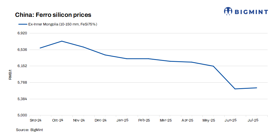 Steel Mint Insights