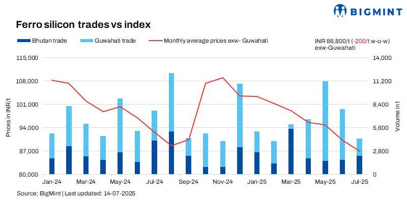 Steel Mint Insights