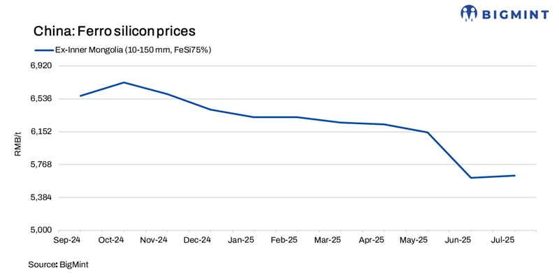 Steel Mint Insights