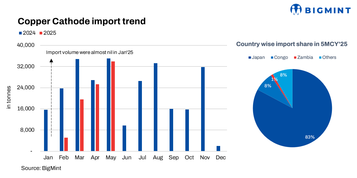 Steel Mint Insights