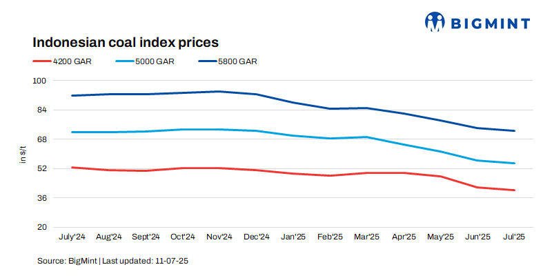 Steel Mint Insights
