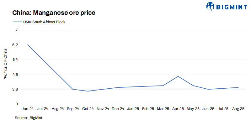 Steel Mint Insights
