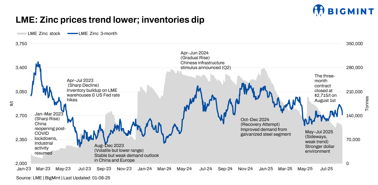 Steel Mint Insights