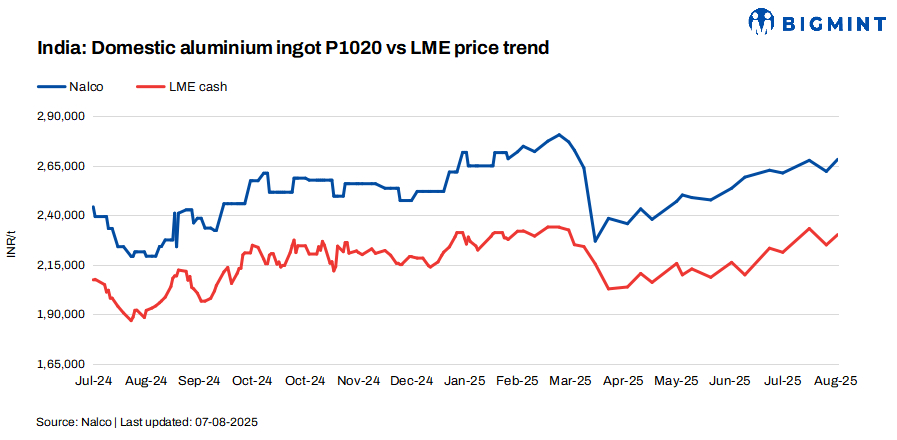 Steel Mint Insights