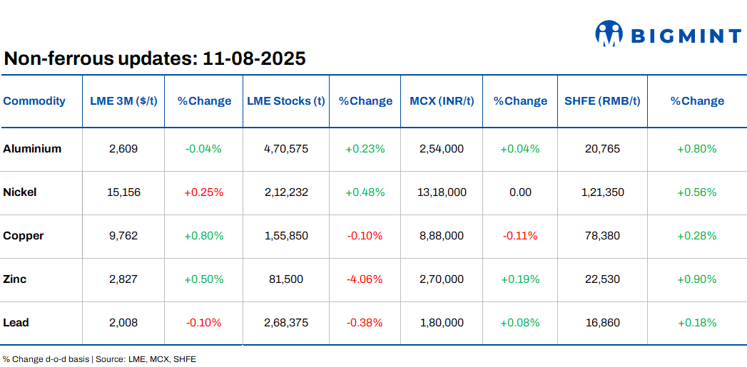 Steel Mint Insights