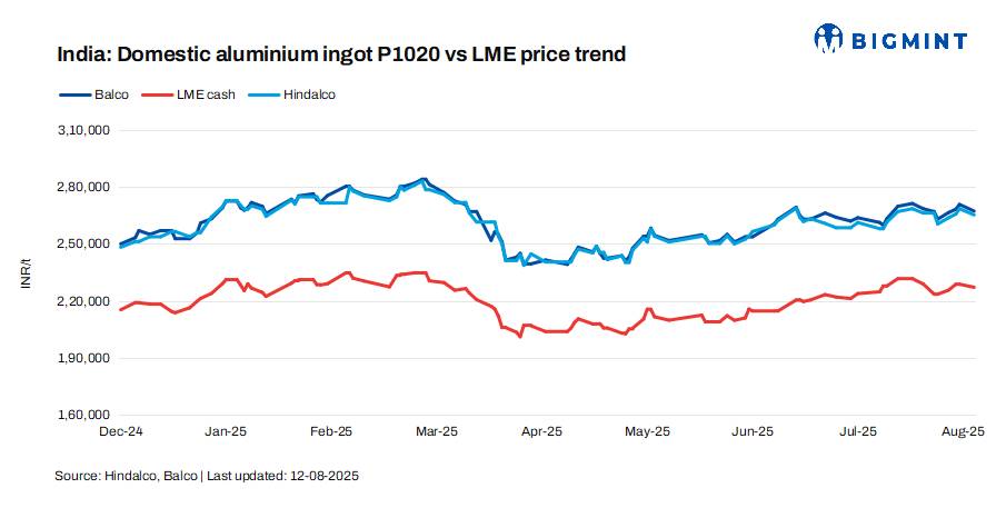 Steel Mint Insights