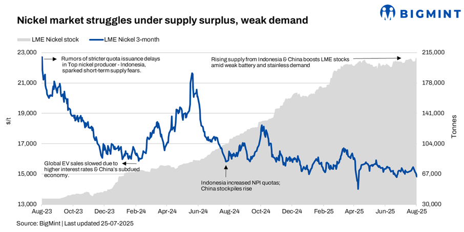 Steel Mint Insights