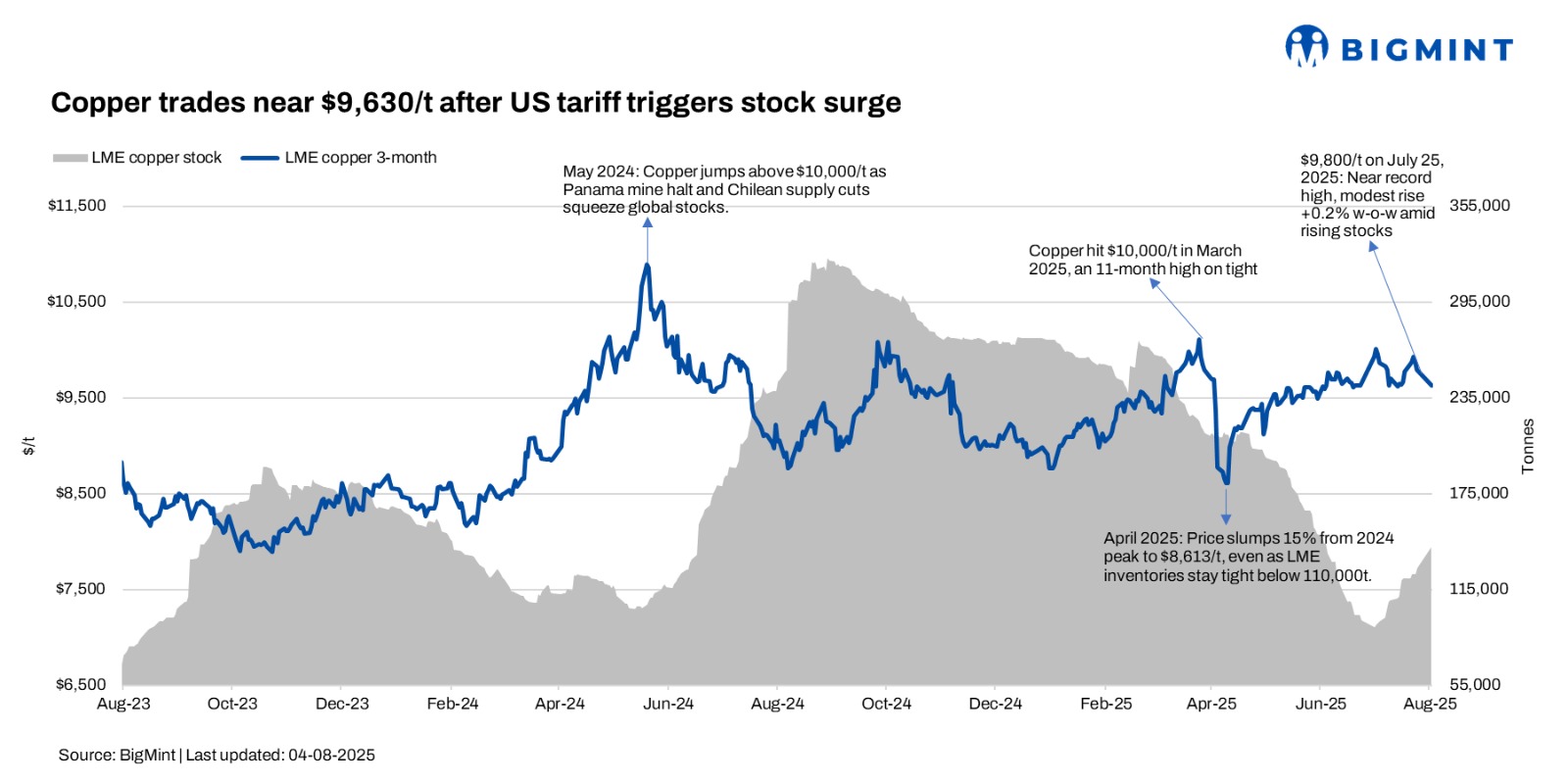 Steel Mint Insights