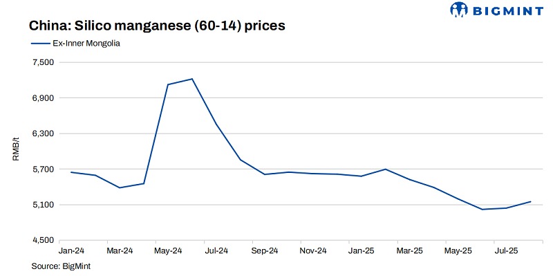 Steel Mint Insights
