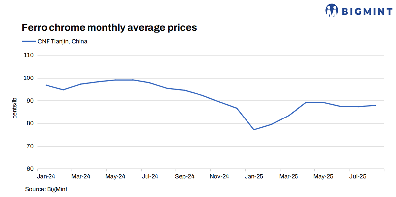 Steel Mint Insights
