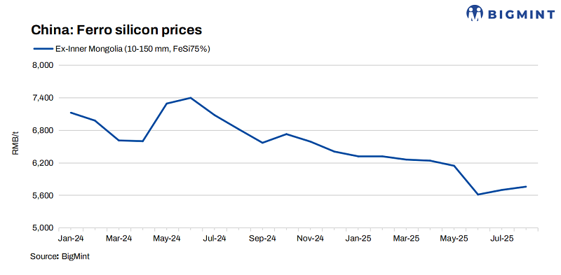 Steel Mint Insights