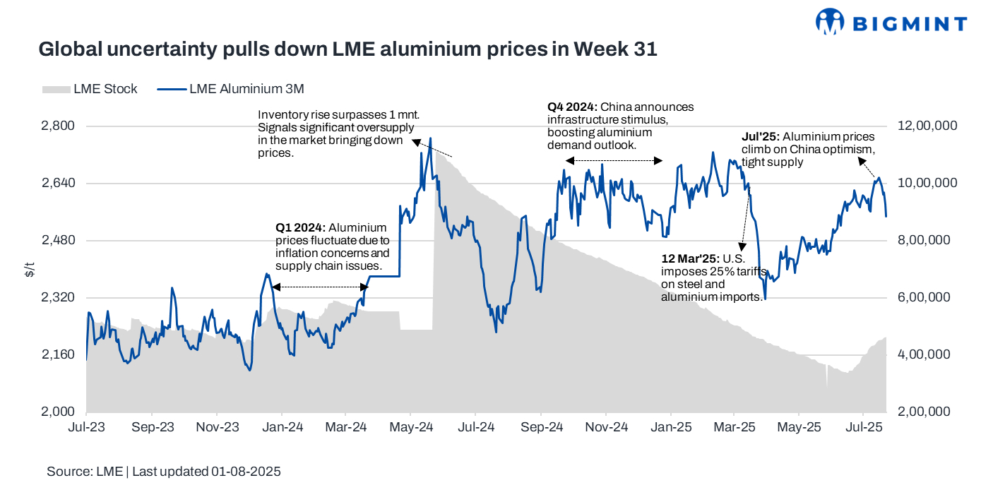 Steel Mint Insights