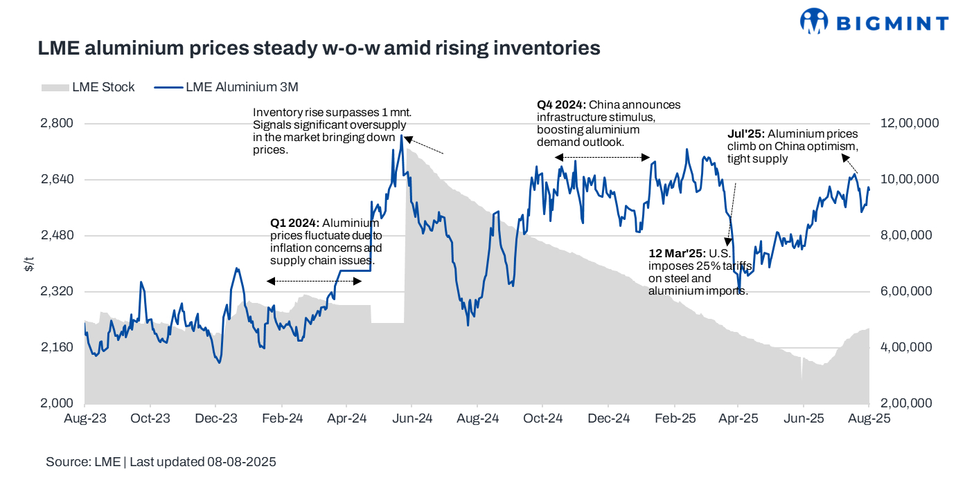 Steel Mint Insights