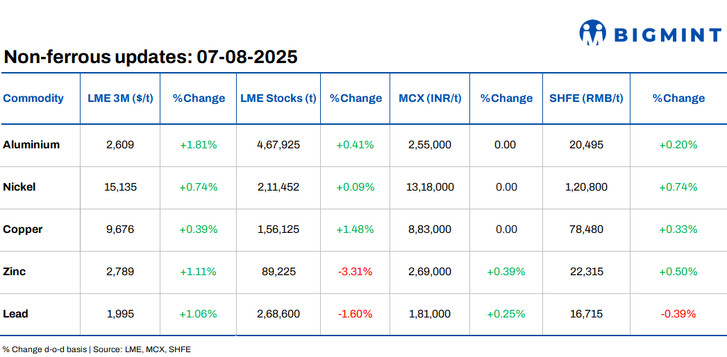Steel Mint Insights
