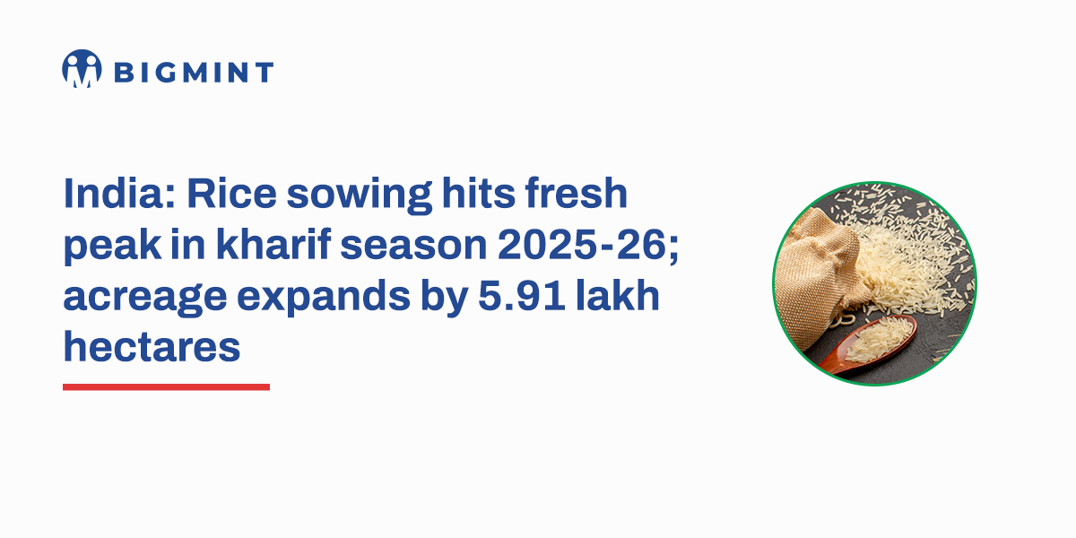 India: Rice sowing hits fresh peak in kharif season 2025-26; acreage expands by 5.91 lakh hectares