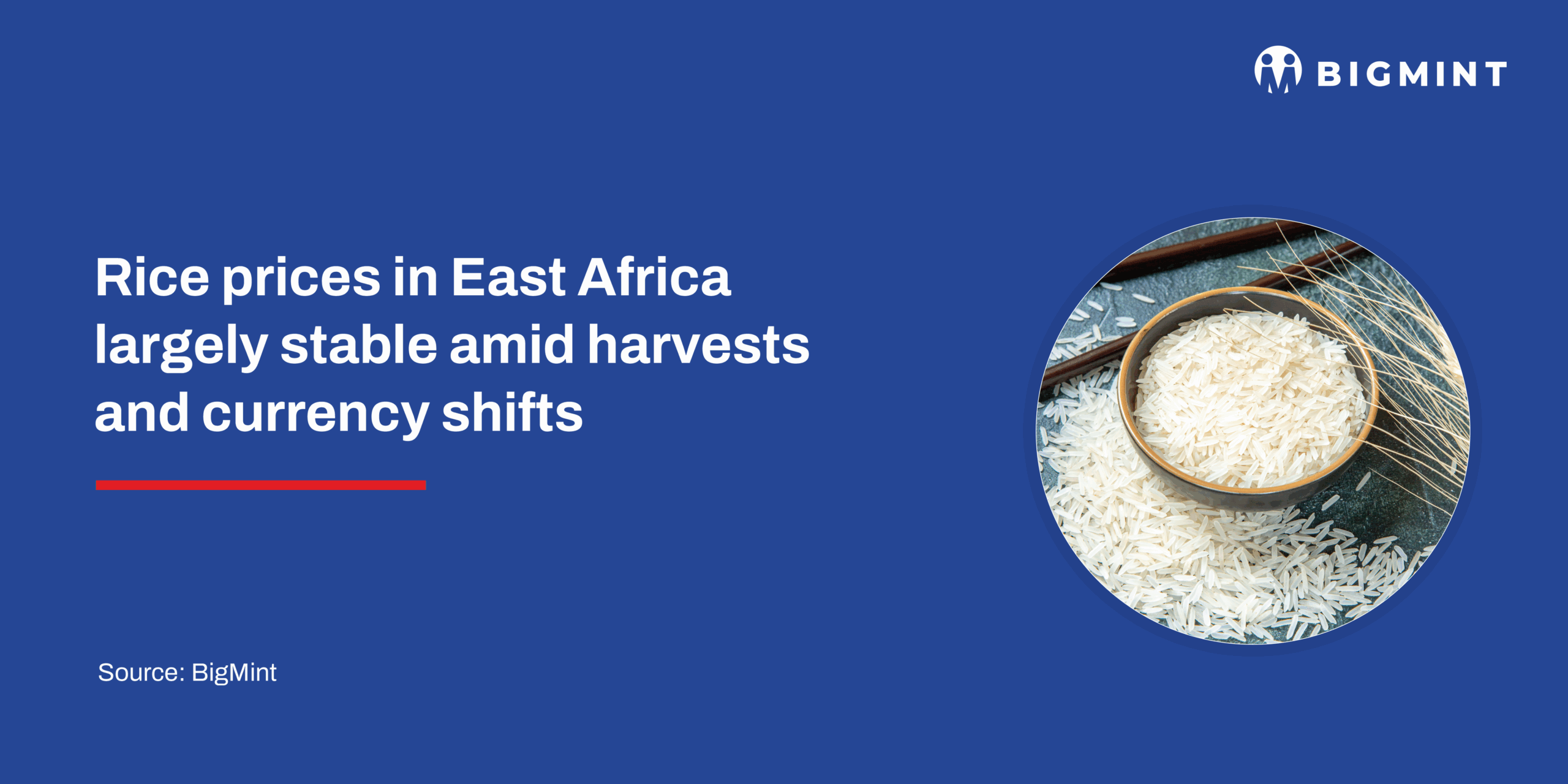 Rice prices in East Africa largely stable amid harvests and currency ...
