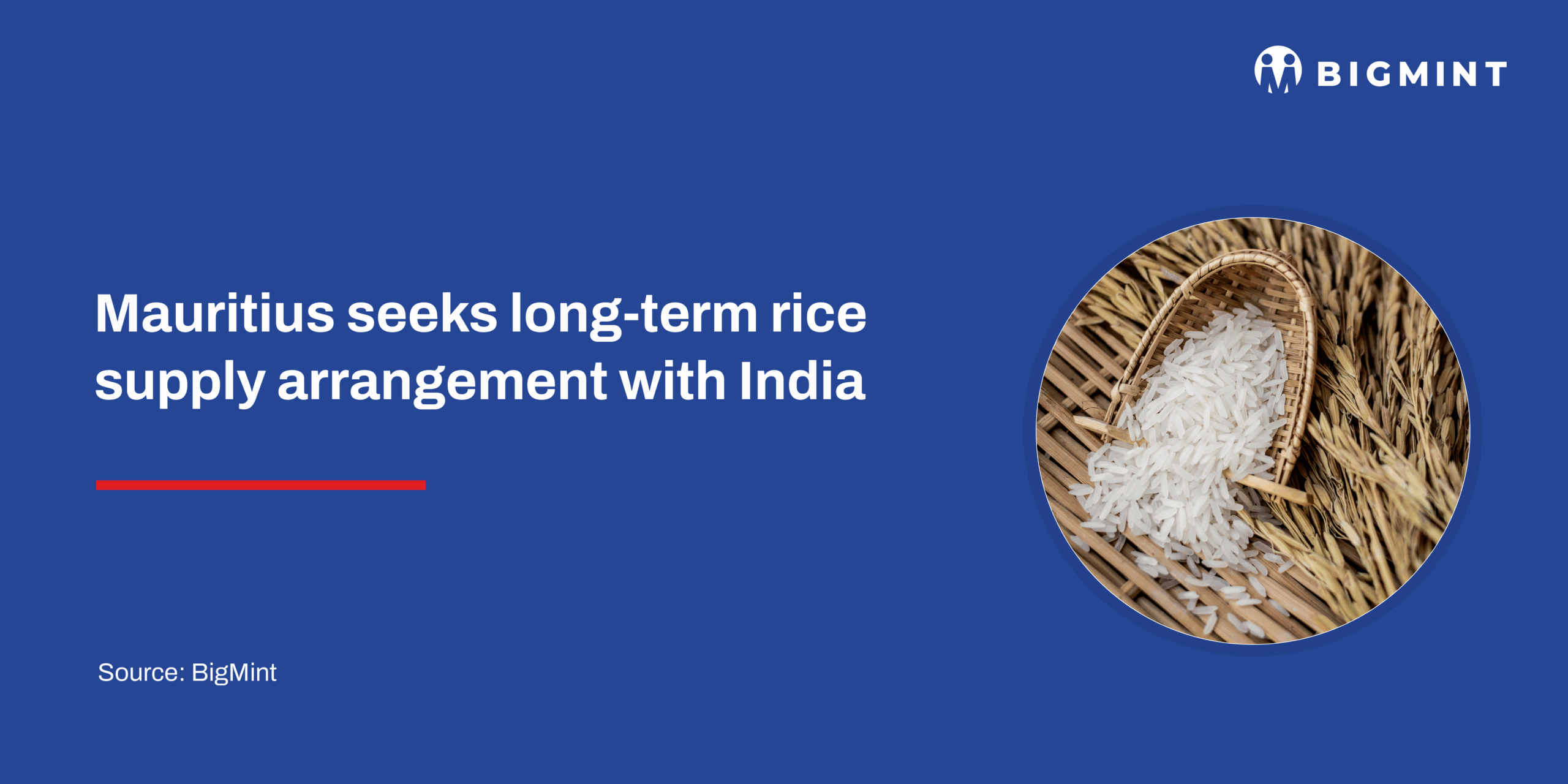 Friend Rice Mauritius Mauritius seeks long-term rice supply arrangement with India | BigMint
