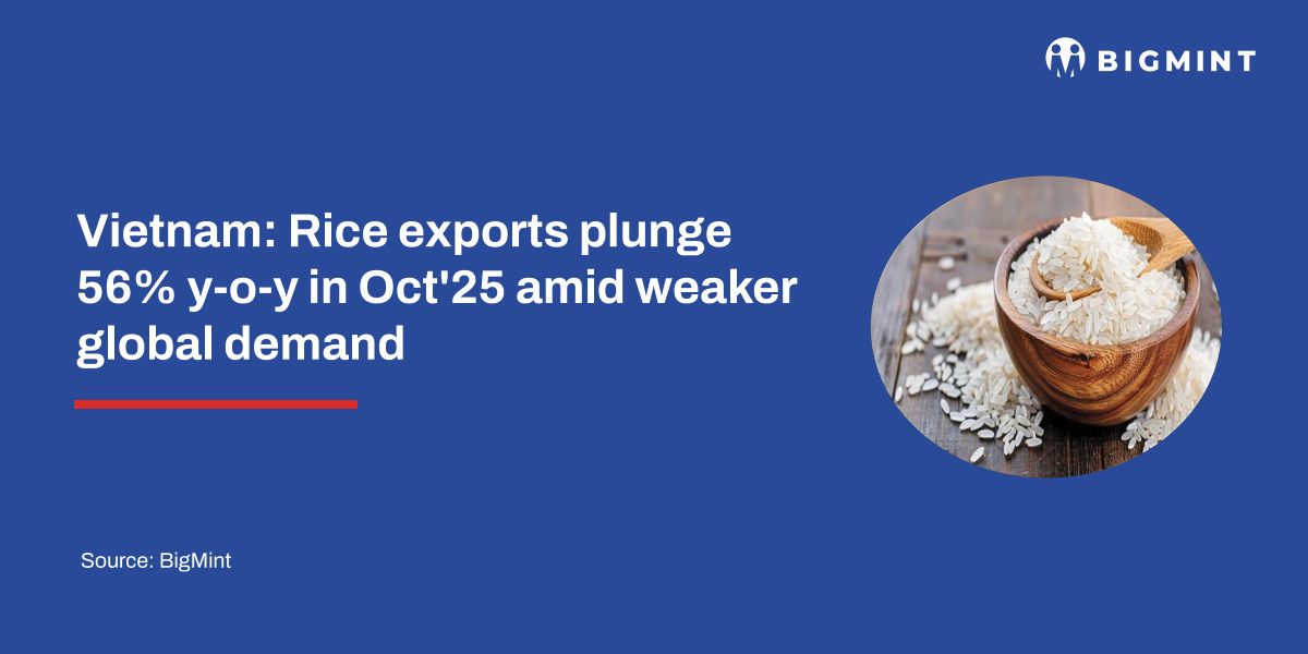 Steel Mint Insights
