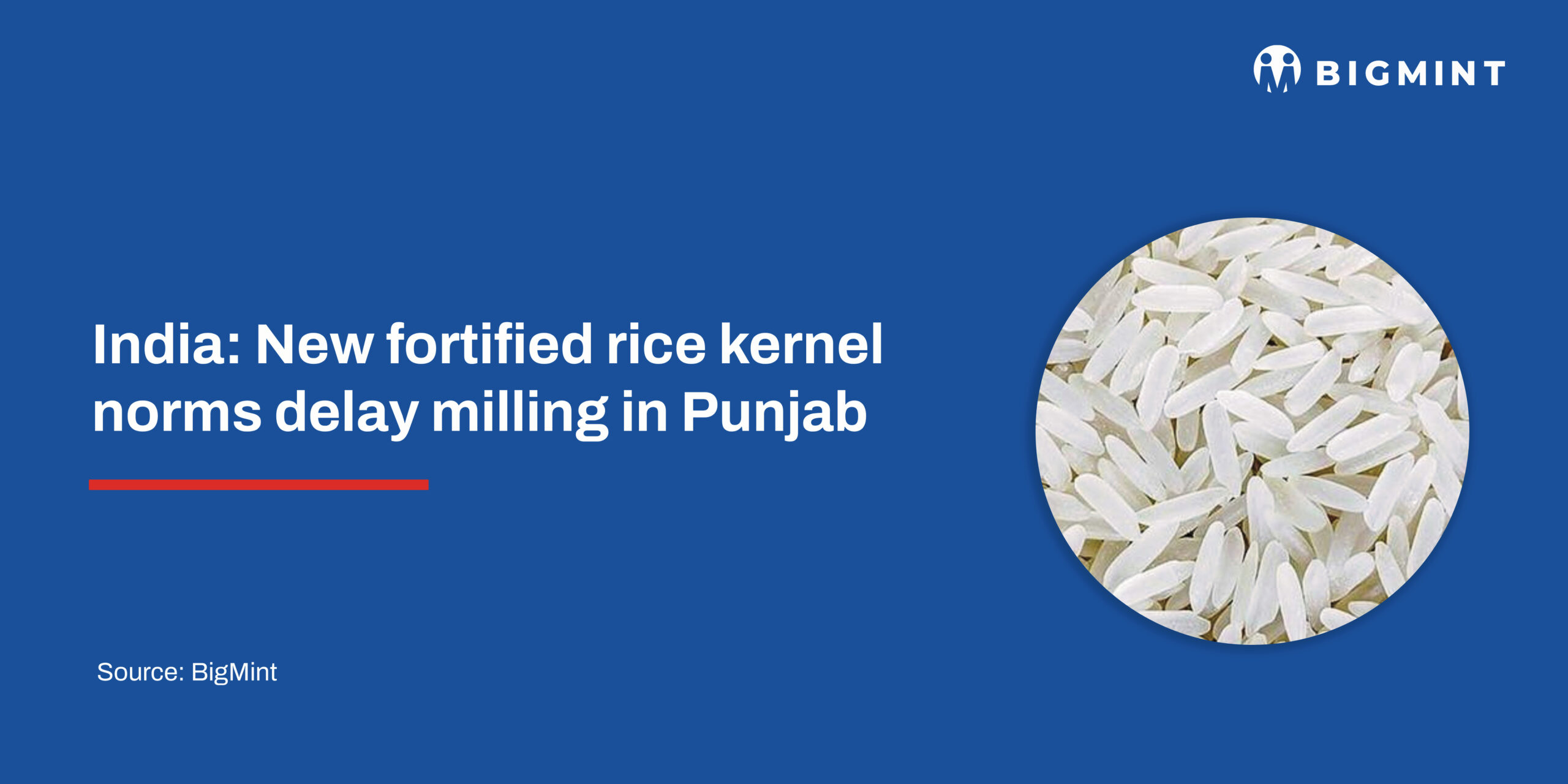 India: New fortified rice kernel norms delay milling in Punjab | BigMint