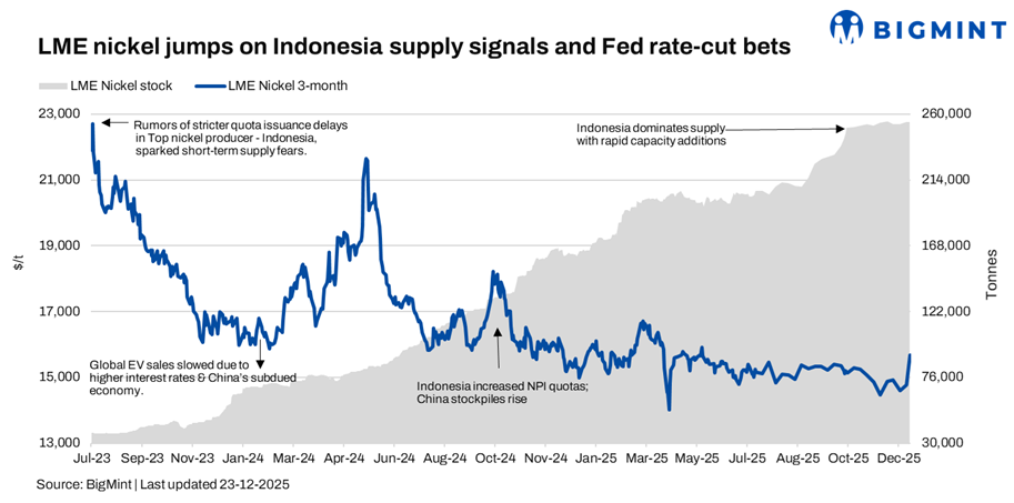 Steel Mint Insights