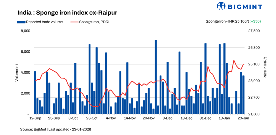 Steel Mint Insights