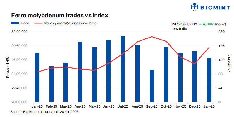 Steel Mint Insights