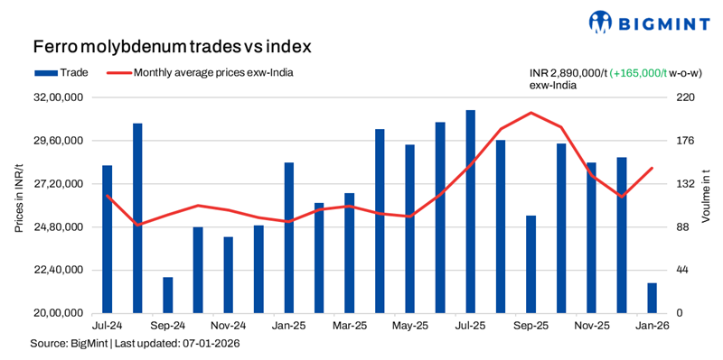 Steel Mint Insights