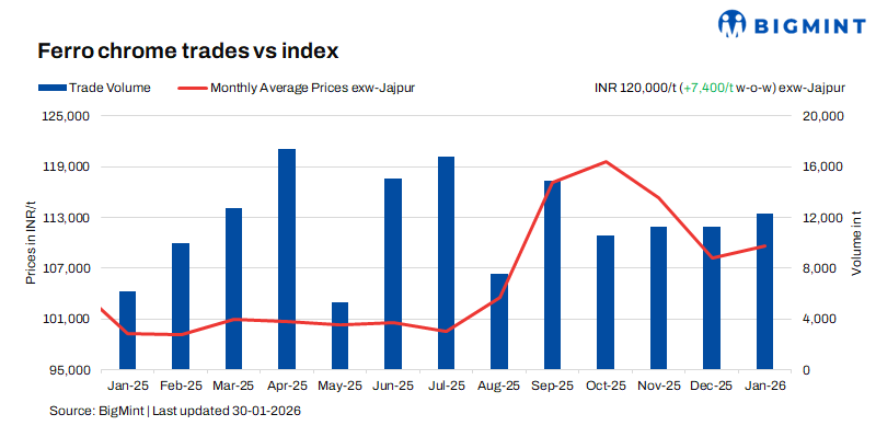 Steel Mint Insights