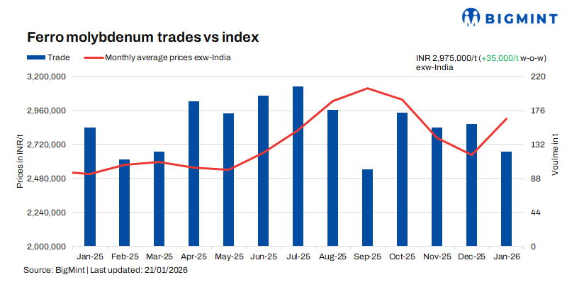 Steel Mint Insights