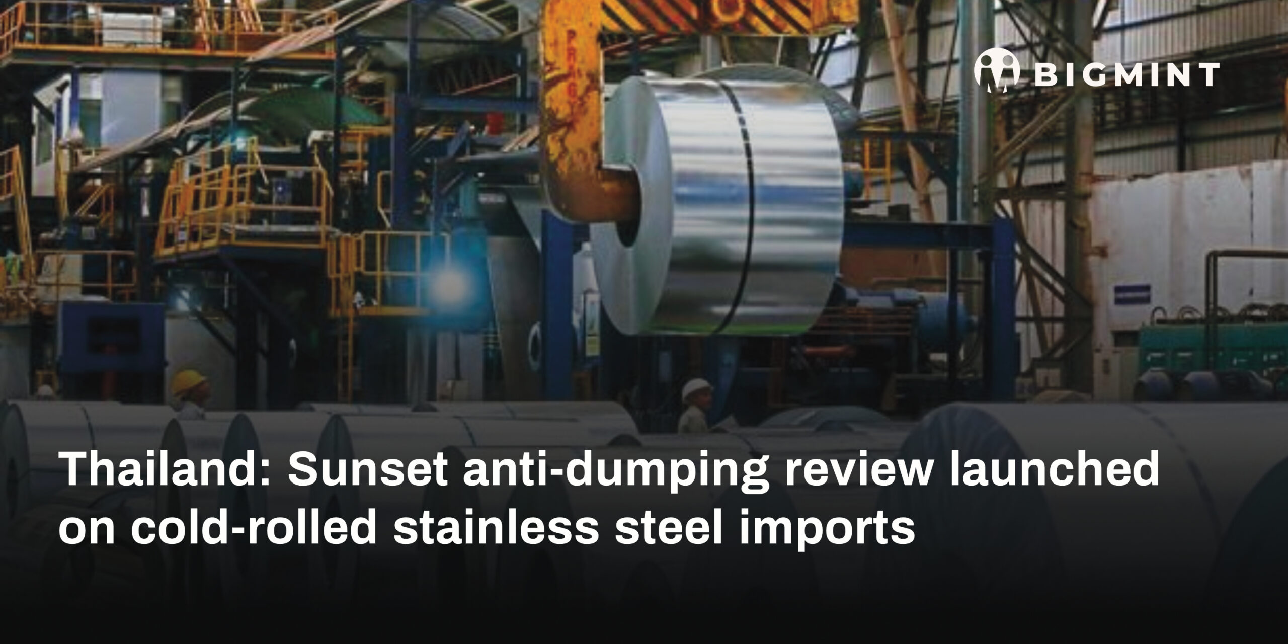 Steel Mint Insights