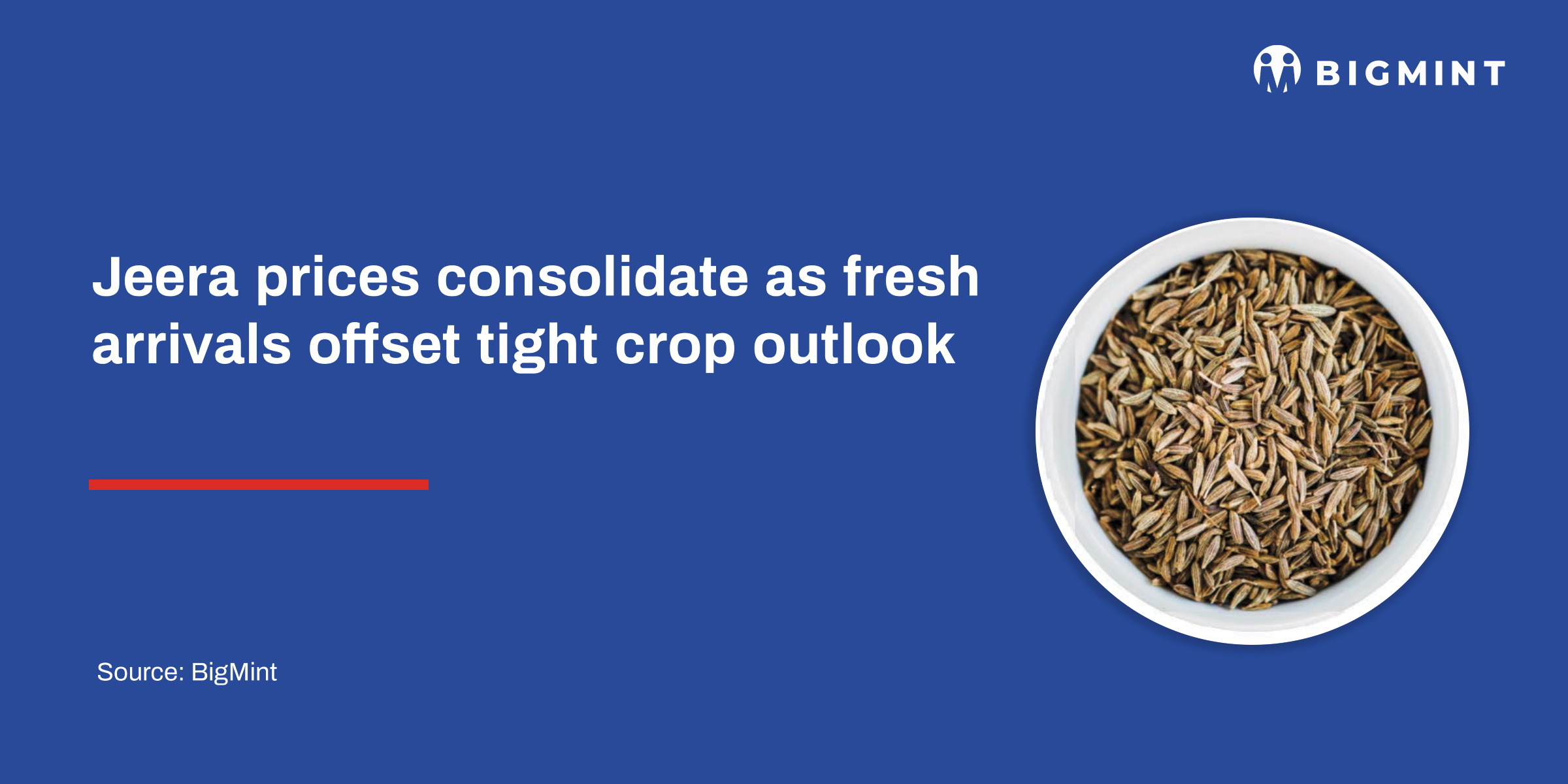Jeera prices consolidate as fresh arrivals offset tight crop outlook