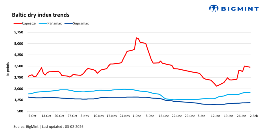 Steel Mint Insights