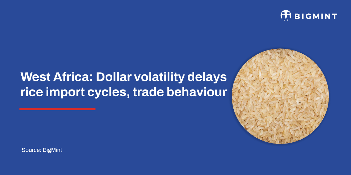 West Africa: Dollar volatility delays rice import cycles, trade behaviour