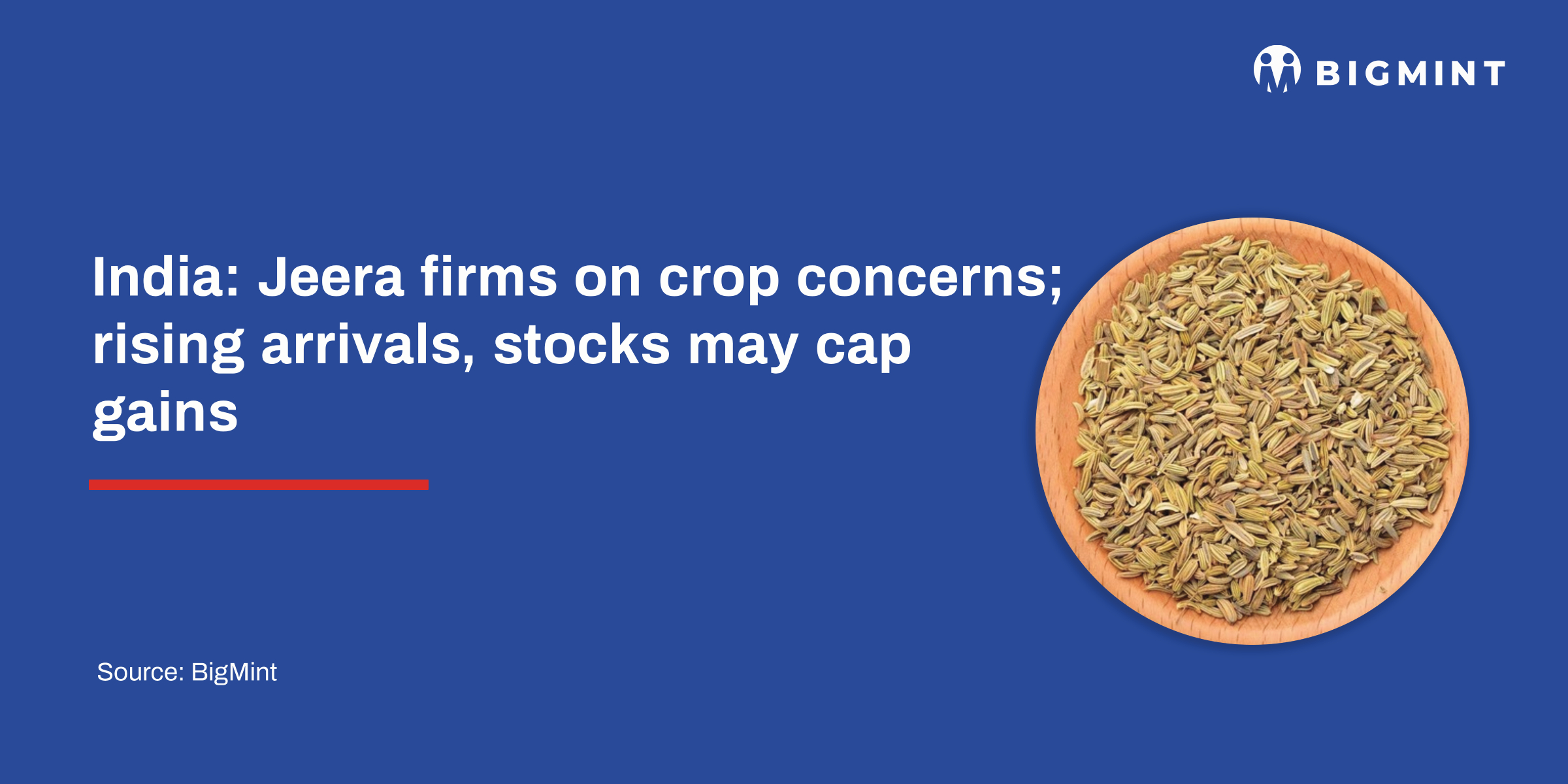 India: Jeera firms on crop concerns; rising arrivals, stocks may cap gains